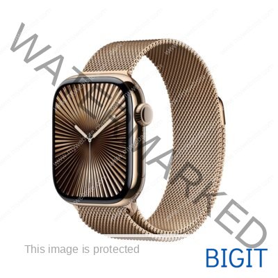 42mm Gold Milanese Loop | Apple